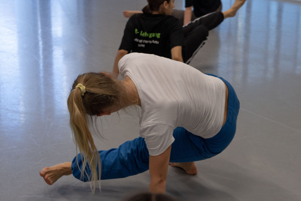 Bruckner Universität AZB-Lehrgang Contemporary Class